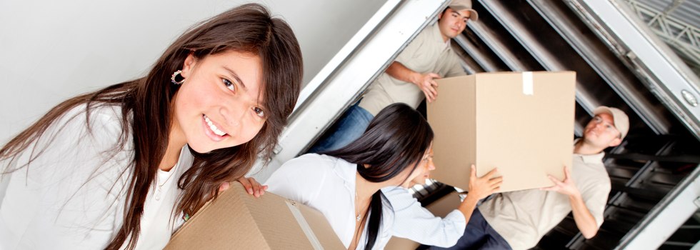 Professional Removalists Tylden